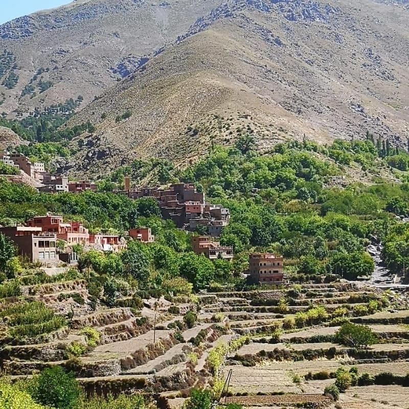 Toubkal Ecolodge Имлиль Экстерьер фото